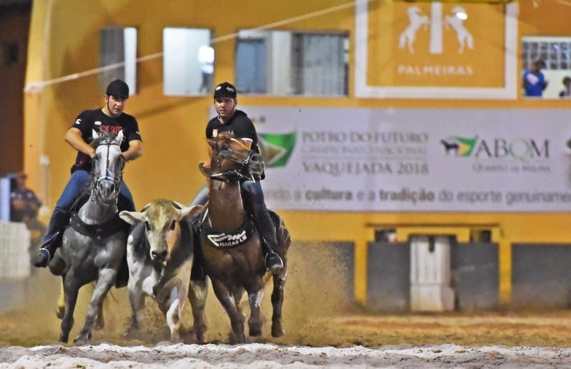 Alese aprova regras para vaquejadas e cavalgadas em Sergipe, com foco em bem-estar animal Alese aprova regras para vaquejadas e cavalgadas em Sergipe, com foco em bem-estar animal