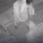 Vídeo mostra idosa sendo abandonada durante a madrugada