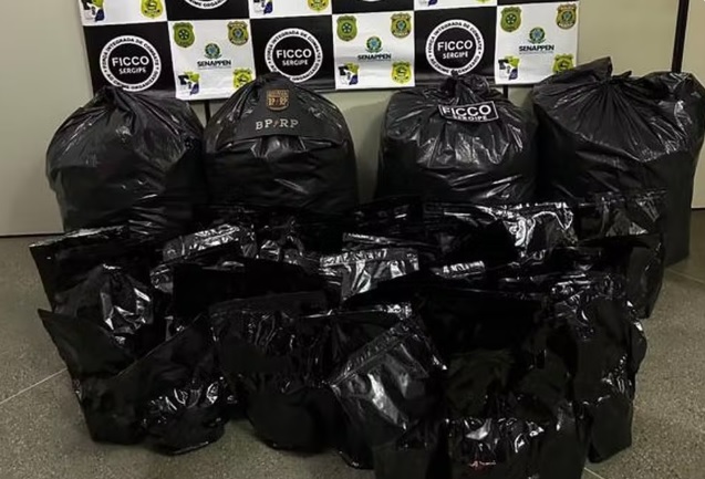 Polícia Militar e FICCO/SE apreendem mais de 100 kg de maconha em Frei Paulo