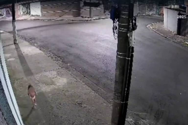 Jovem é presa após deixar filha de três anos em casa sozinha para ir a baile funk em SP