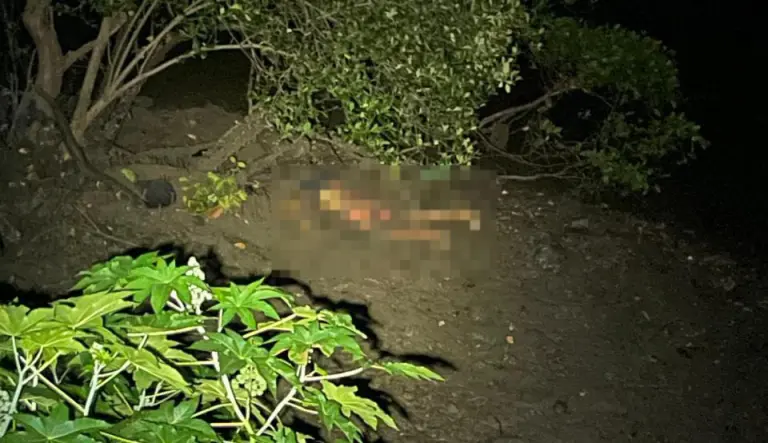 Homem é encontrado morto em área de mangue em Nossa Senhora do Socorro