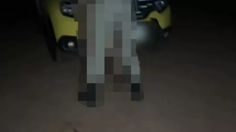 PM do Paraná é investigado após protagonizar vídeo adulto durante abordagem policial; cenas foram gravadas em cima do capô de viatura