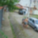 Pitbull é mort0 a facad4s depois de atac4r shih-tzu no RJ