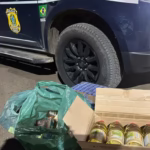 PRF prende em flagrante suspeitos de furtar carga de caminhão tombado no DF