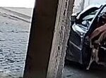 Homem é flagrado abandonando e atropelando cachorra em via pública do RJ