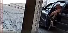 Homem é flagrado abandonando e atropelando cachorra em via pública do RJ