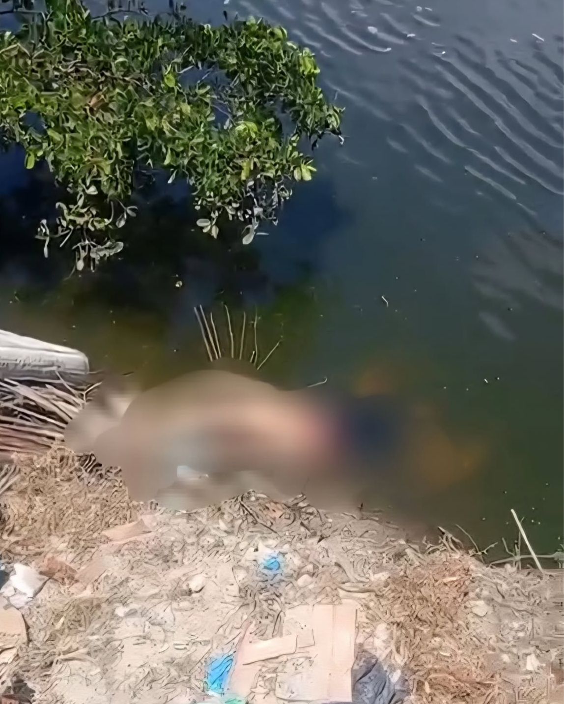 Corpo de mulher é encontrado em maré de Nossa Senhora do Socorro