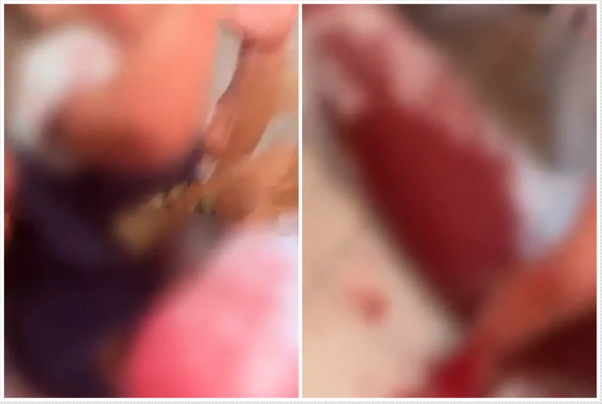 Mãe ateia fogo na casa em que reside, com os filhos dentro, após tentar assassiná-los