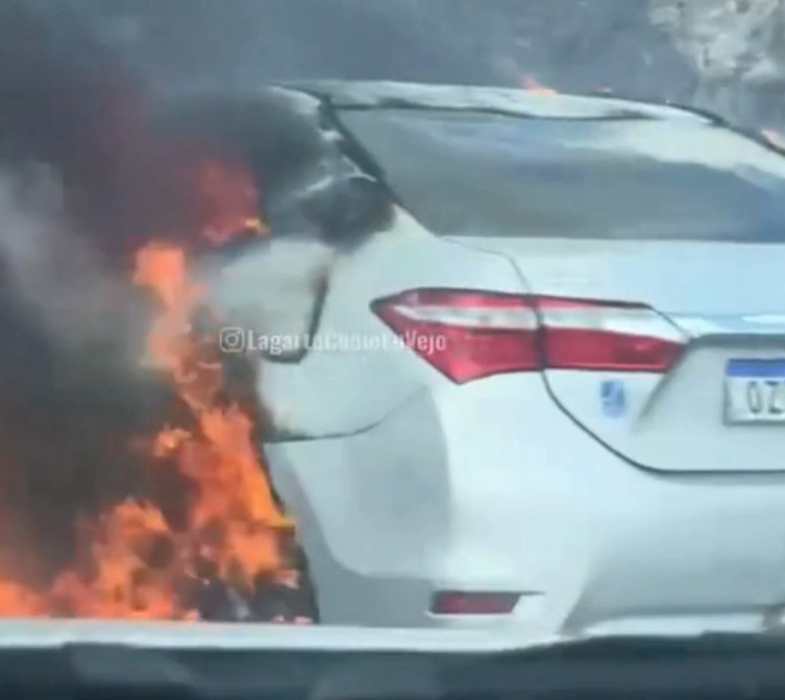 Carro de passeio foi consumido por um incêndio às margens da BR-101, em São Cristóvão