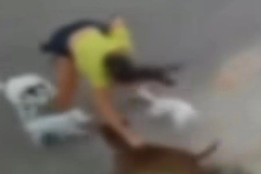 Mulher é agred1da por tutor de pitbull após defender seus cachorros no interior do CE