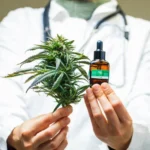 Anvisa autoriza ampliação do cultivo da cannabis medicinal no Brasil