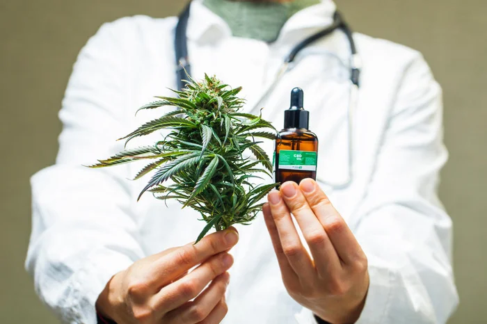 Anvisa autoriza ampliação do cultivo da cannabis medicinal no Brasil