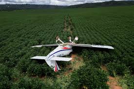 Avião de pequeno porte faz pouso forçado em fazenda próximo à DF-330, em Sobradinho Avião de pequeno porte faz pouso forçado em fazenda próximo à DF-330, em Sobradinho
