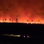 Incêndio de grandes proporções atinge fazenda em Itaporanga D’Ajuda