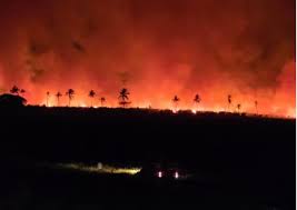 Incêndio de grandes proporções atinge fazenda em Itaporanga D’Ajuda