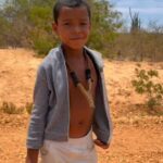 Motorista se comove com história de menino em estrada e paga para salvar tatu-peba