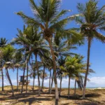 Verão Sergipe 2026 evidencia belezas de Pirambu e reforça vocação turística do litoral norte sergipano