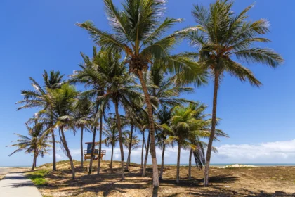 Verão Sergipe 2026 evidencia belezas de Pirambu e reforça vocação turística do litoral norte sergipano