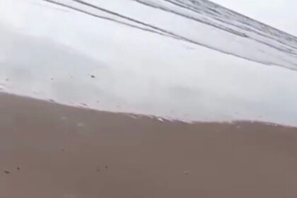 Corpo de homem é encontrado em praia da Barra dos Coqueiros