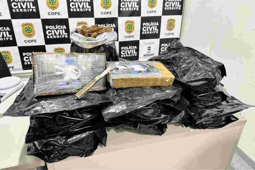 Cope apreende R$ 500 mil em drogas no Terminal Rodoviário de Aracaju e prende duas mulheres Cope apreende R$ 500 mil em drogas no Terminal Rodoviário de Aracaju e prende duas mulheres