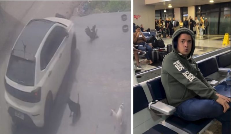 “Se eu pudesse, faria de novo”: motorista é preso ao tentar fugir de Manaus após atr0pelar cachorros