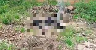 Mulher é encontrada carbonizada em terreno baldio em Jacundá Mulher é encontrada carbonizada em terreno baldio em Jacundá