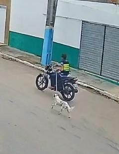 Polícia Civil identifica suspeito de arrastar cachorro amarrado a motocicleta em Porto da Folha