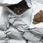 Mulher é presa com pacotes de flor de maconha durante operação em Nossa Senhora do Socorro