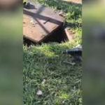 Bebê é encontrado morto em caixa de gordura de condomínio em Aparecida de Goiânia