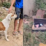 Recém-nascido é encontrado dentro de sofá abandonado em Minas Gerais