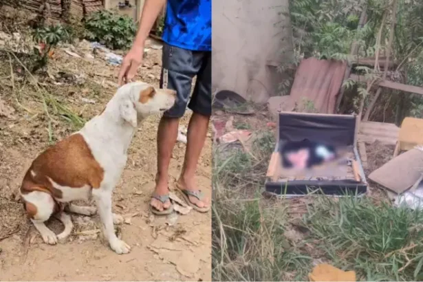 Recém-nascido é encontrado dentro de sofá abandonado em Minas Gerais
