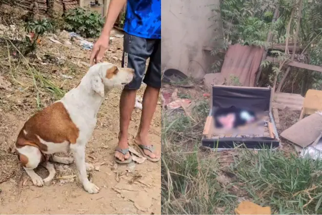 Recém-nascido é encontrado dentro de sofá abandonado em Minas Gerais