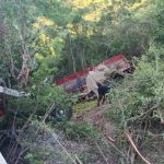 Caminhão colide contra duas carroças e deixa feridos em rodovia de São Domingos