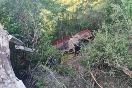 Caminhão colide contra duas carroças e deixa feridos em rodovia de São Domingos