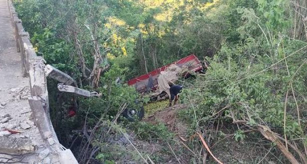 Caminhão colide contra duas carroças e deixa feridos em rodovia de São Domingos