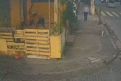 Homem em situação de rua é morto a pauladas enquanto dormia em calçada no Recife