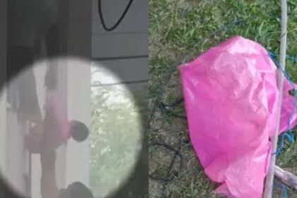Avó coloca bebê de um mês em sacola para escapar de incêndio em prédio de Manaus