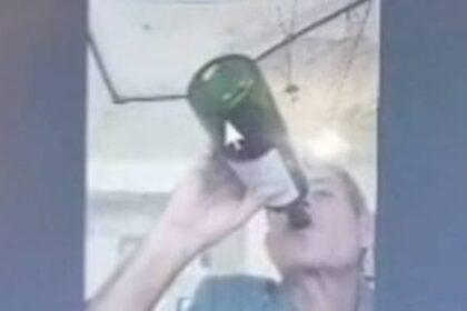 TJMG investiga juiz flagrado bebendo vinho, fumando e de bermuda durante sessão virtual