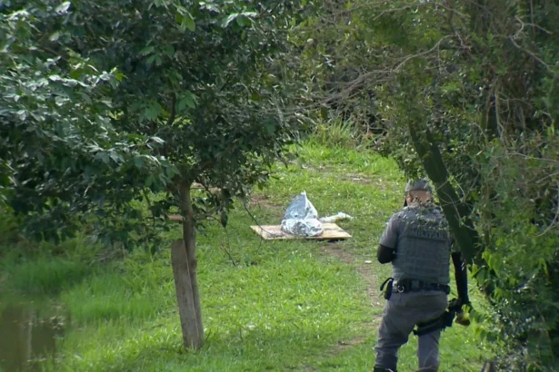 Mãe é presa após jogar três filhos em represa em SP; bebê de 10 meses m0rre