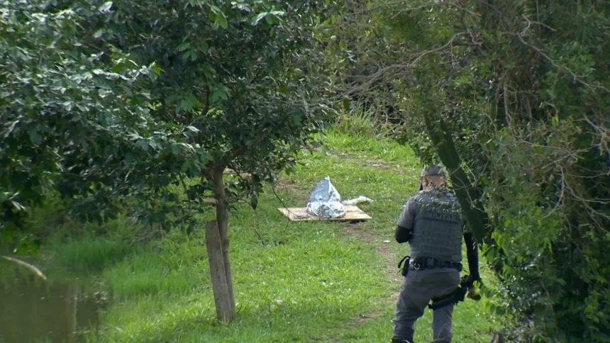 Mãe é presa após jogar três filhos em represa em SP; bebê de 10 meses m0rre