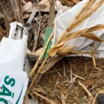 Avião monomotor cai em zona rural de Macambira