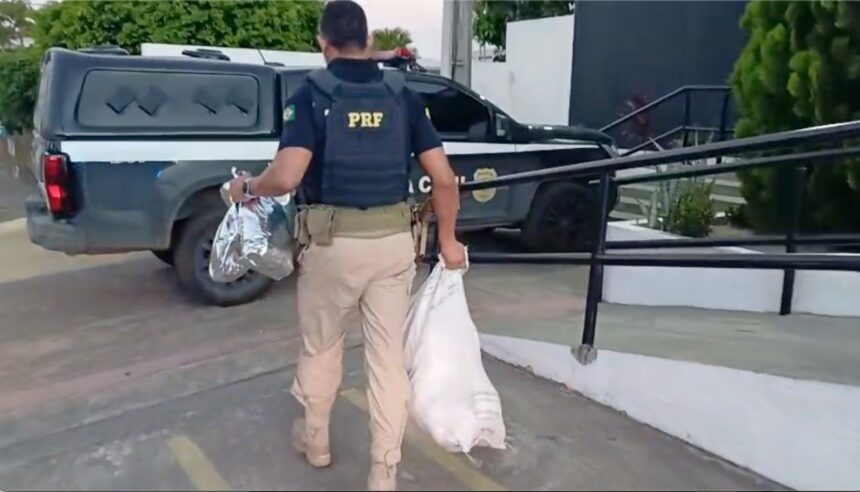 PRF apreende 25 quilos de mac0nha em veículo na BR-235, em Frei Paulo